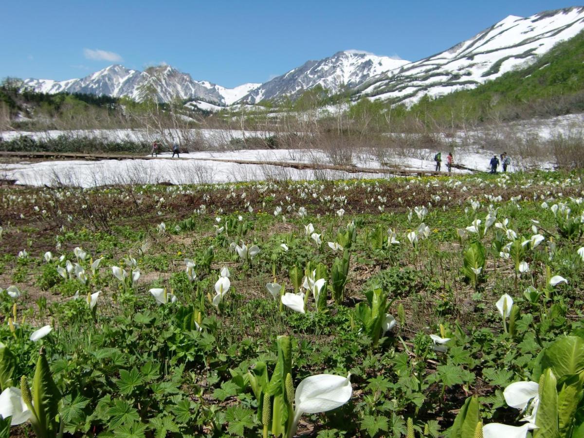 Anri Villa Hakuba Exterior foto